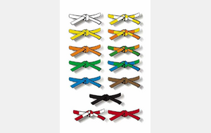 Assemblée Générale / Remise des diplômes et grades